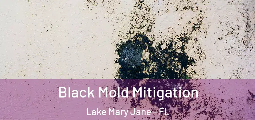  Black Mold Mitigation Lake Mary Jane - FL