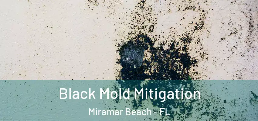  Black Mold Mitigation Miramar Beach - FL
