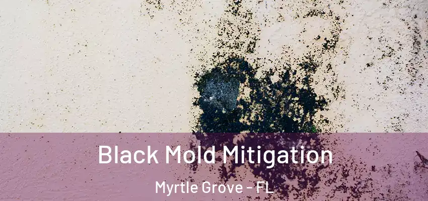 Black Mold Mitigation Myrtle Grove - FL