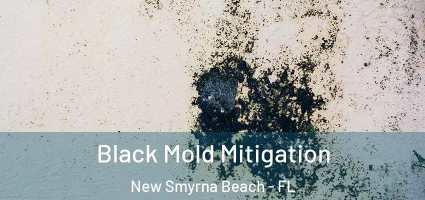Black Mold Mitigation New Smyrna Beach - FL