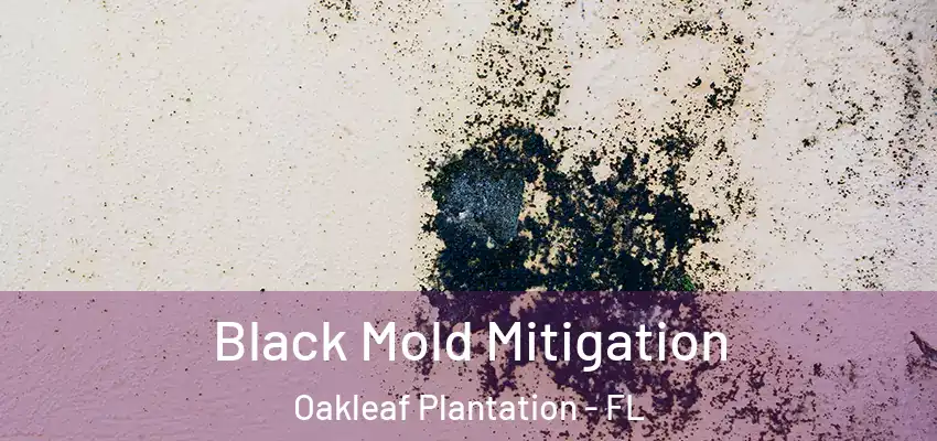 Black Mold Mitigation Oakleaf Plantation - FL
