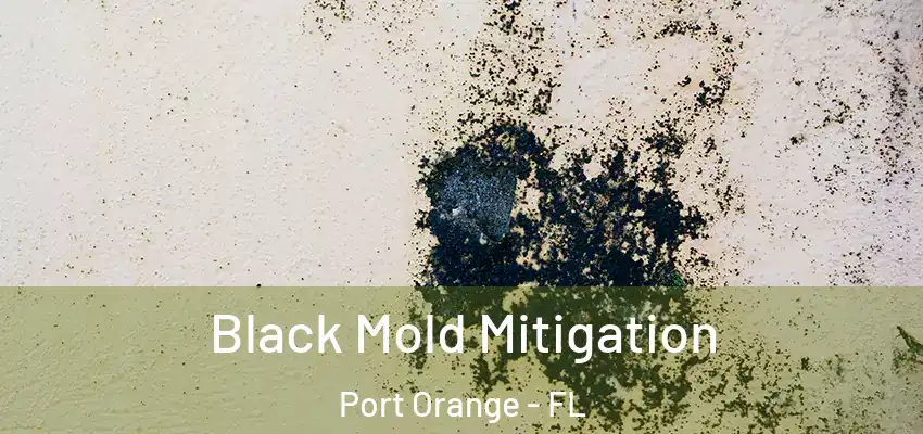 Black Mold Mitigation Port Orange - FL