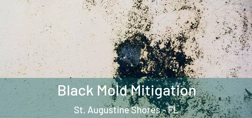 Black Mold Mitigation St. Augustine Shores - FL