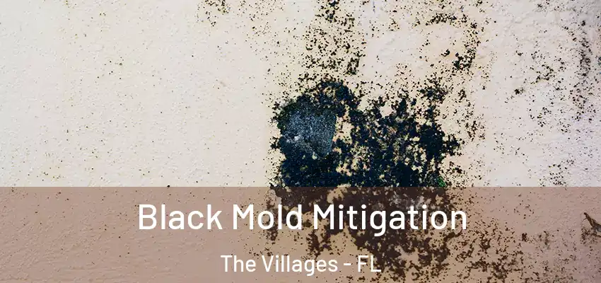  Black Mold Mitigation The Villages - FL