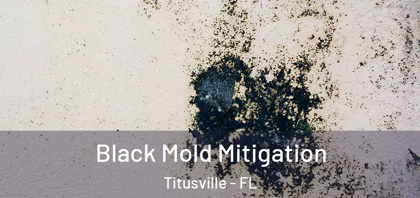 Black Mold Mitigation Titusville - FL