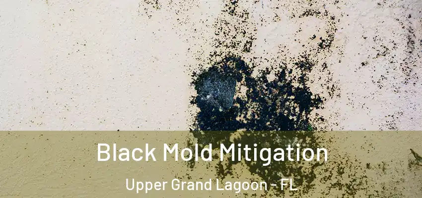  Black Mold Mitigation Upper Grand Lagoon - FL