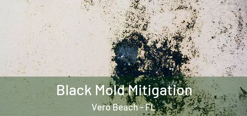 Black Mold Mitigation Vero Beach - FL