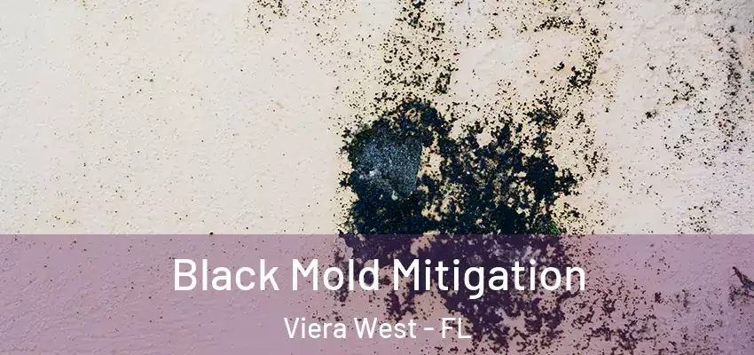 Black Mold Mitigation Viera West - FL