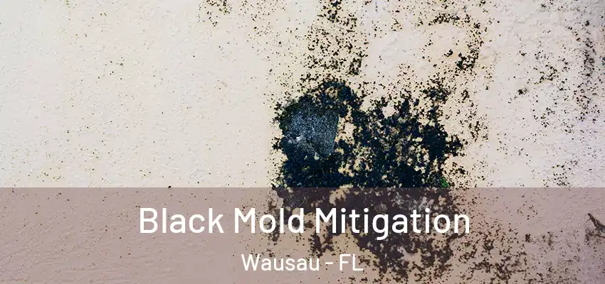  Black Mold Mitigation Wausau - FL
