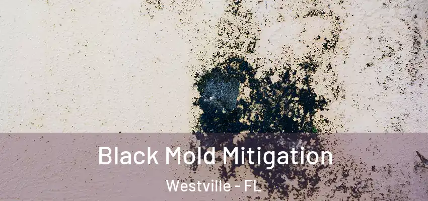  Black Mold Mitigation Westville - FL