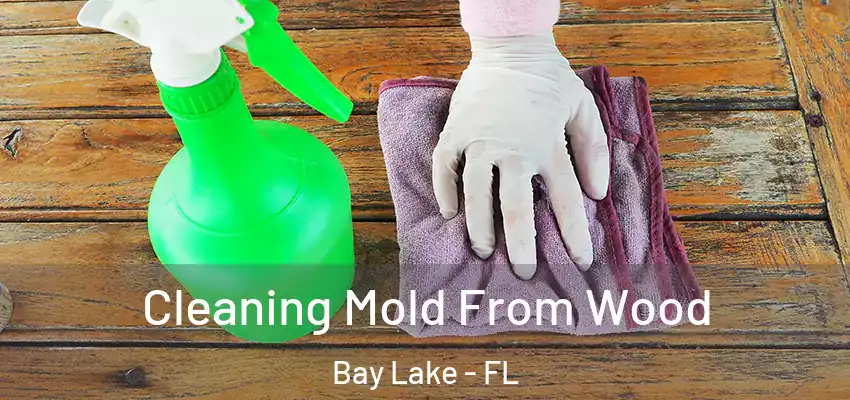 Cleaning Mold From Wood Bay Lake - FL