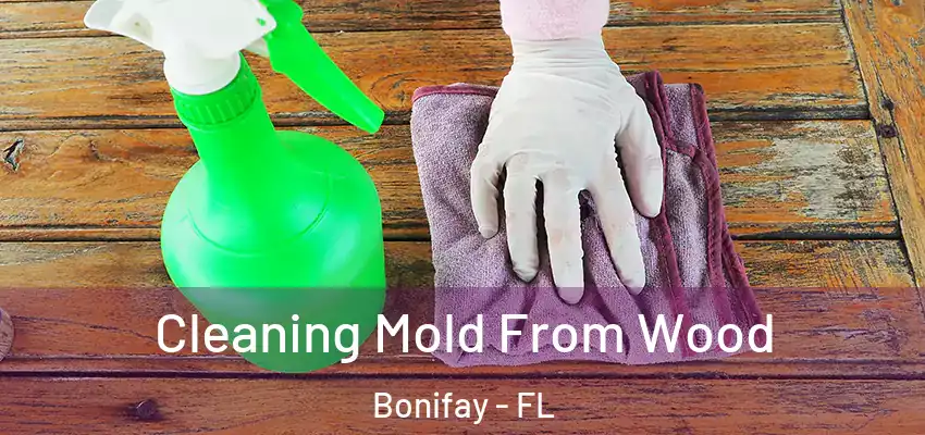  Cleaning Mold From Wood Bonifay - FL