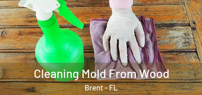  Cleaning Mold From Wood Brent - FL
