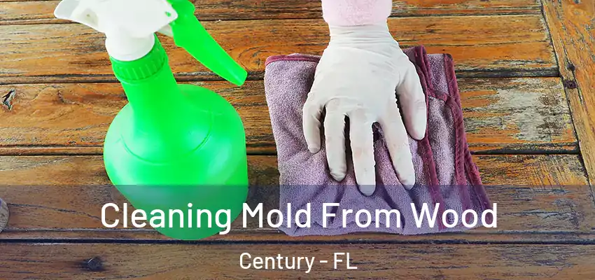  Cleaning Mold From Wood Century - FL