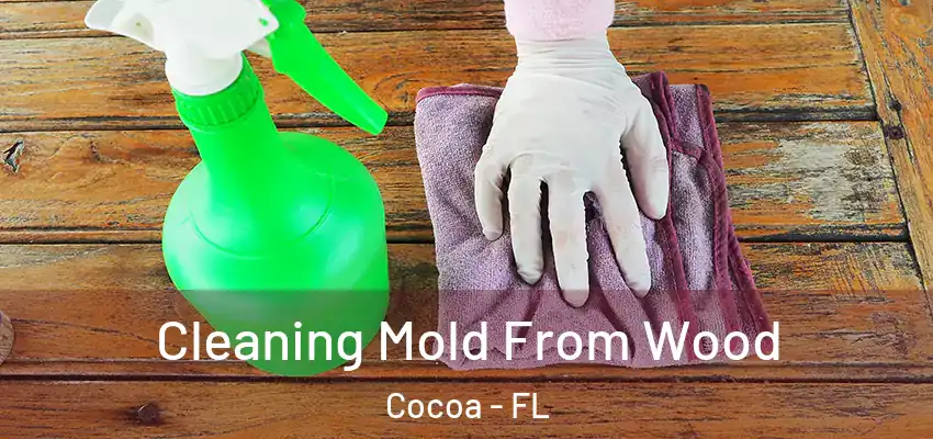  Cleaning Mold From Wood Cocoa - FL