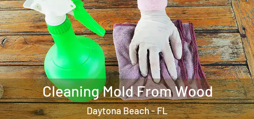  Cleaning Mold From Wood Daytona Beach - FL