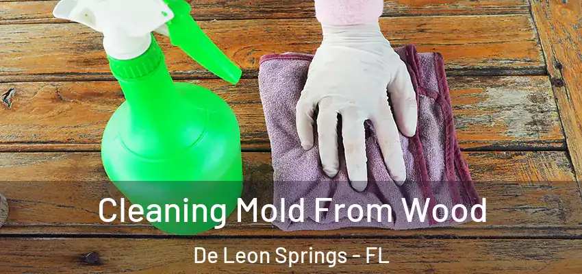 Cleaning Mold From Wood De Leon Springs - FL