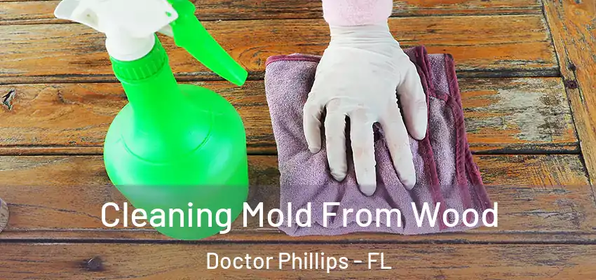  Cleaning Mold From Wood Doctor Phillips - FL