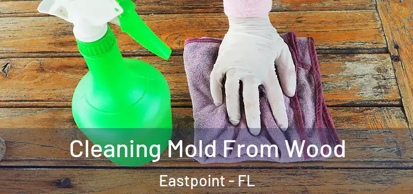  Cleaning Mold From Wood Eastpoint - FL