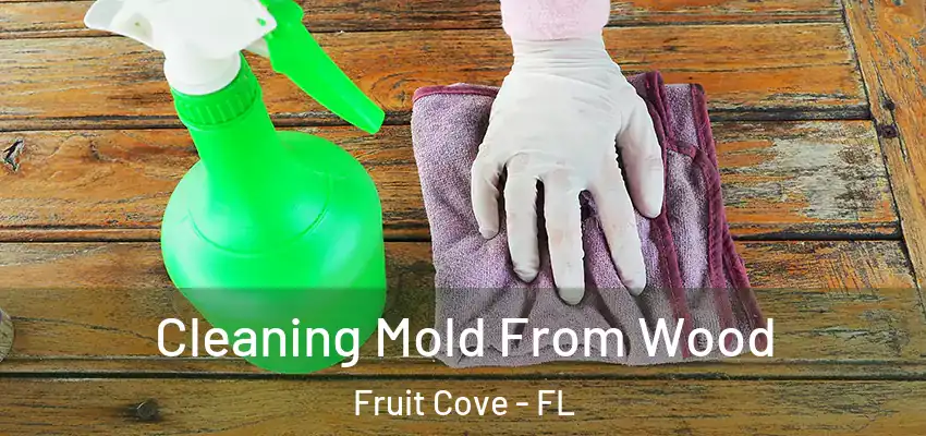  Cleaning Mold From Wood Fruit Cove - FL