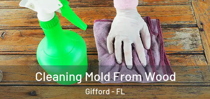  Cleaning Mold From Wood Gifford - FL
