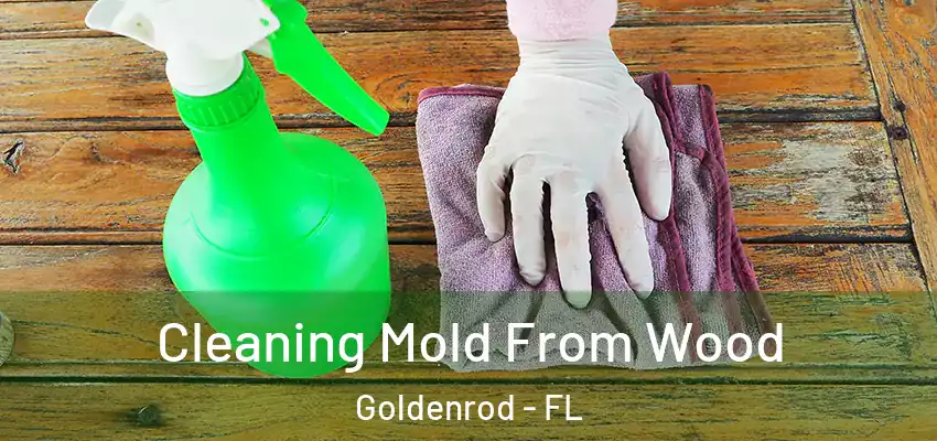  Cleaning Mold From Wood Goldenrod - FL