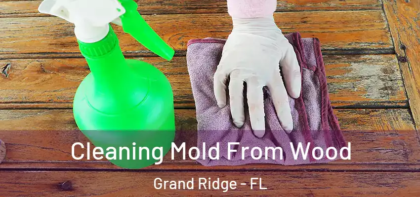  Cleaning Mold From Wood Grand Ridge - FL