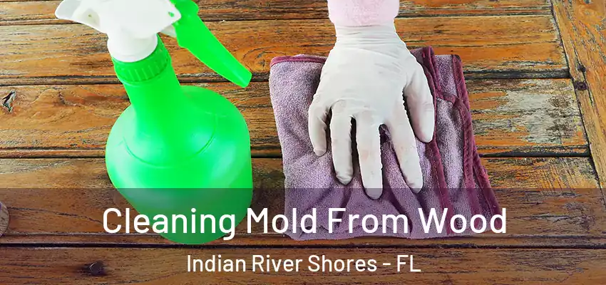  Cleaning Mold From Wood Indian River Shores - FL