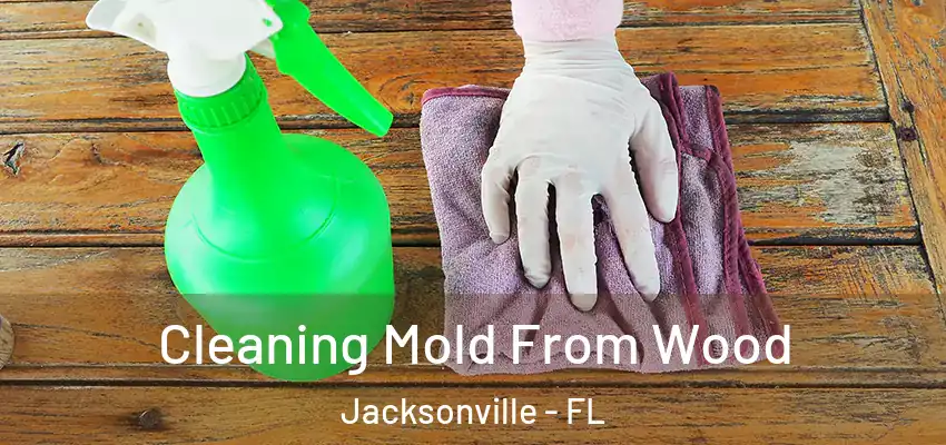  Cleaning Mold From Wood Jacksonville - FL