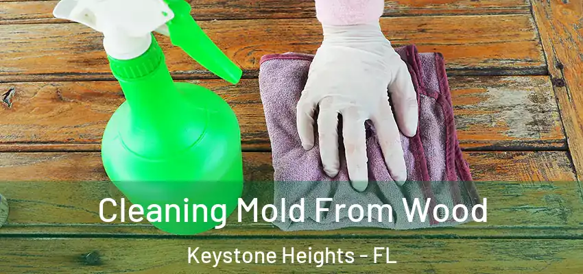  Cleaning Mold From Wood Keystone Heights - FL