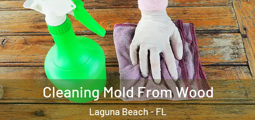  Cleaning Mold From Wood Laguna Beach - FL