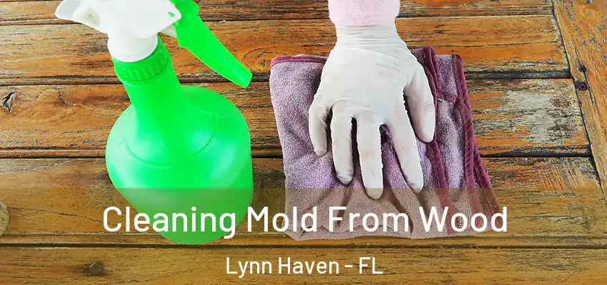  Cleaning Mold From Wood Lynn Haven - FL