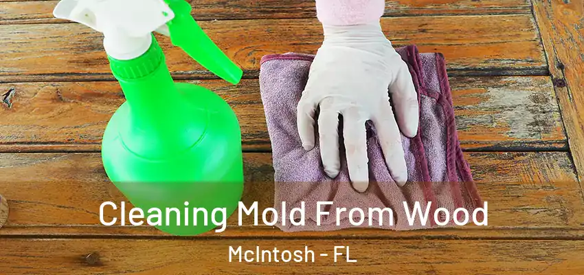  Cleaning Mold From Wood McIntosh - FL