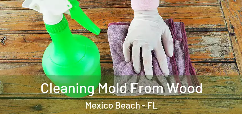  Cleaning Mold From Wood Mexico Beach - FL