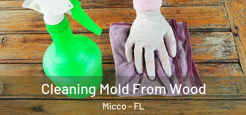 Cleaning Mold From Wood Micco - FL