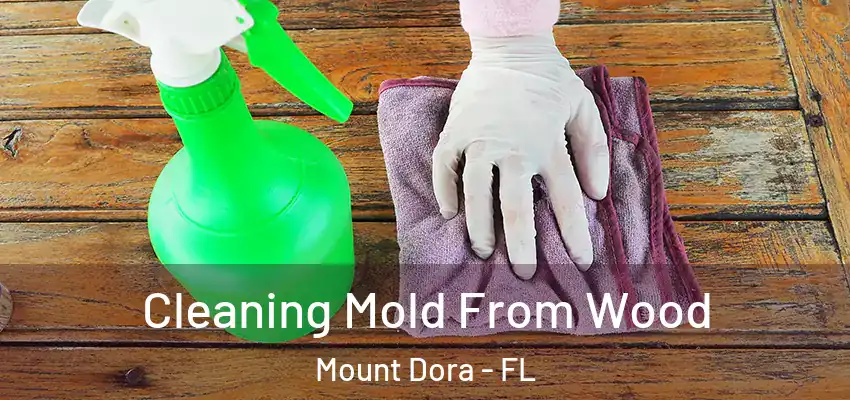  Cleaning Mold From Wood Mount Dora - FL