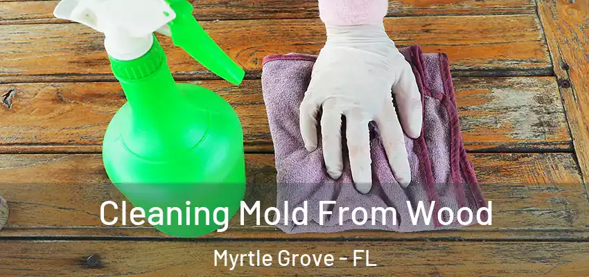  Cleaning Mold From Wood Myrtle Grove - FL