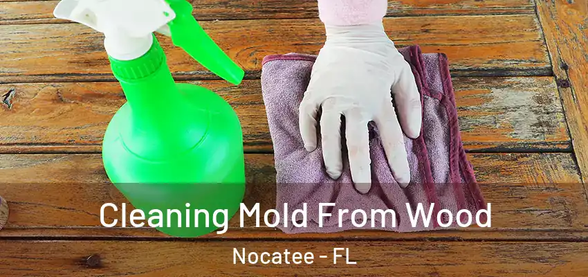 Cleaning Mold From Wood Nocatee - FL