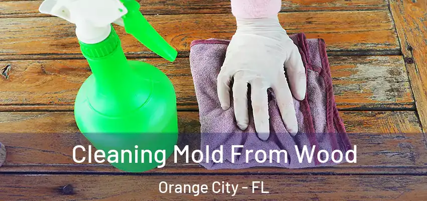 Cleaning Mold From Wood Orange City - FL
