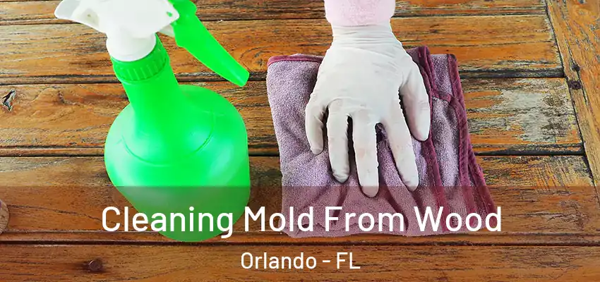  Cleaning Mold From Wood Orlando - FL