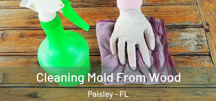  Cleaning Mold From Wood Paisley - FL