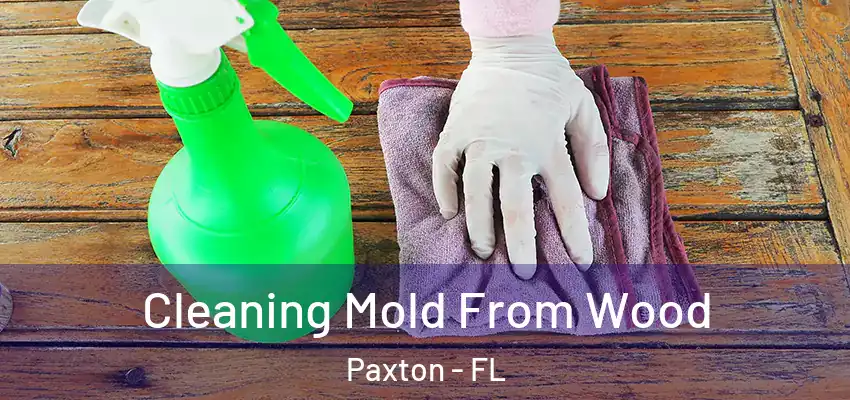 Cleaning Mold From Wood Paxton - FL