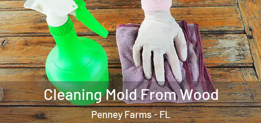  Cleaning Mold From Wood Penney Farms - FL