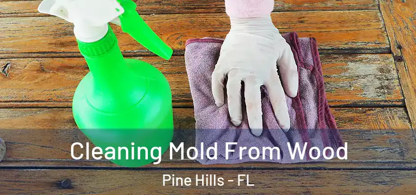  Cleaning Mold From Wood Pine Hills - FL