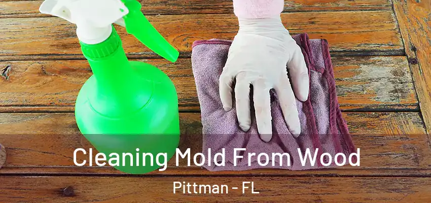  Cleaning Mold From Wood Pittman - FL
