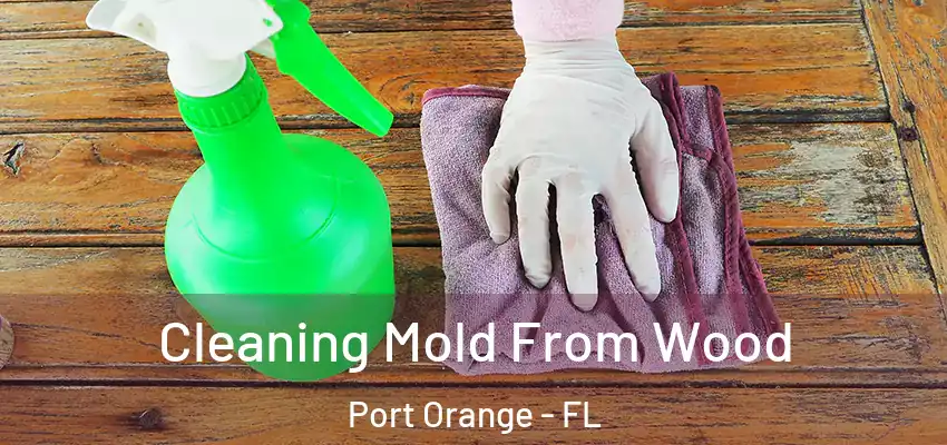  Cleaning Mold From Wood Port Orange - FL