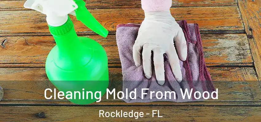  Cleaning Mold From Wood Rockledge - FL