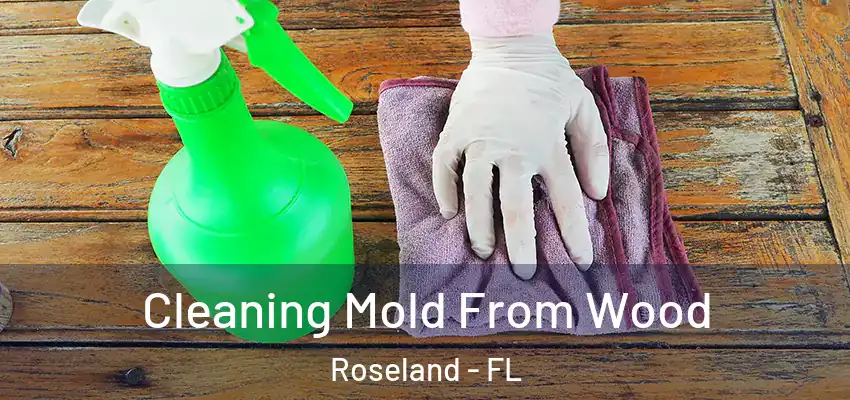  Cleaning Mold From Wood Roseland - FL