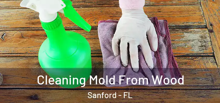  Cleaning Mold From Wood Sanford - FL