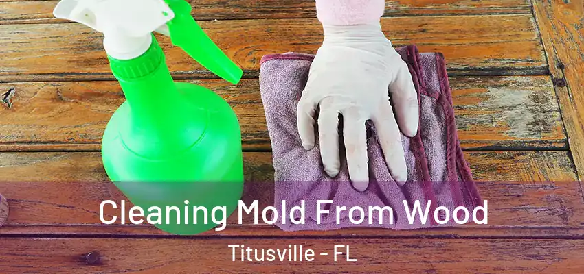  Cleaning Mold From Wood Titusville - FL